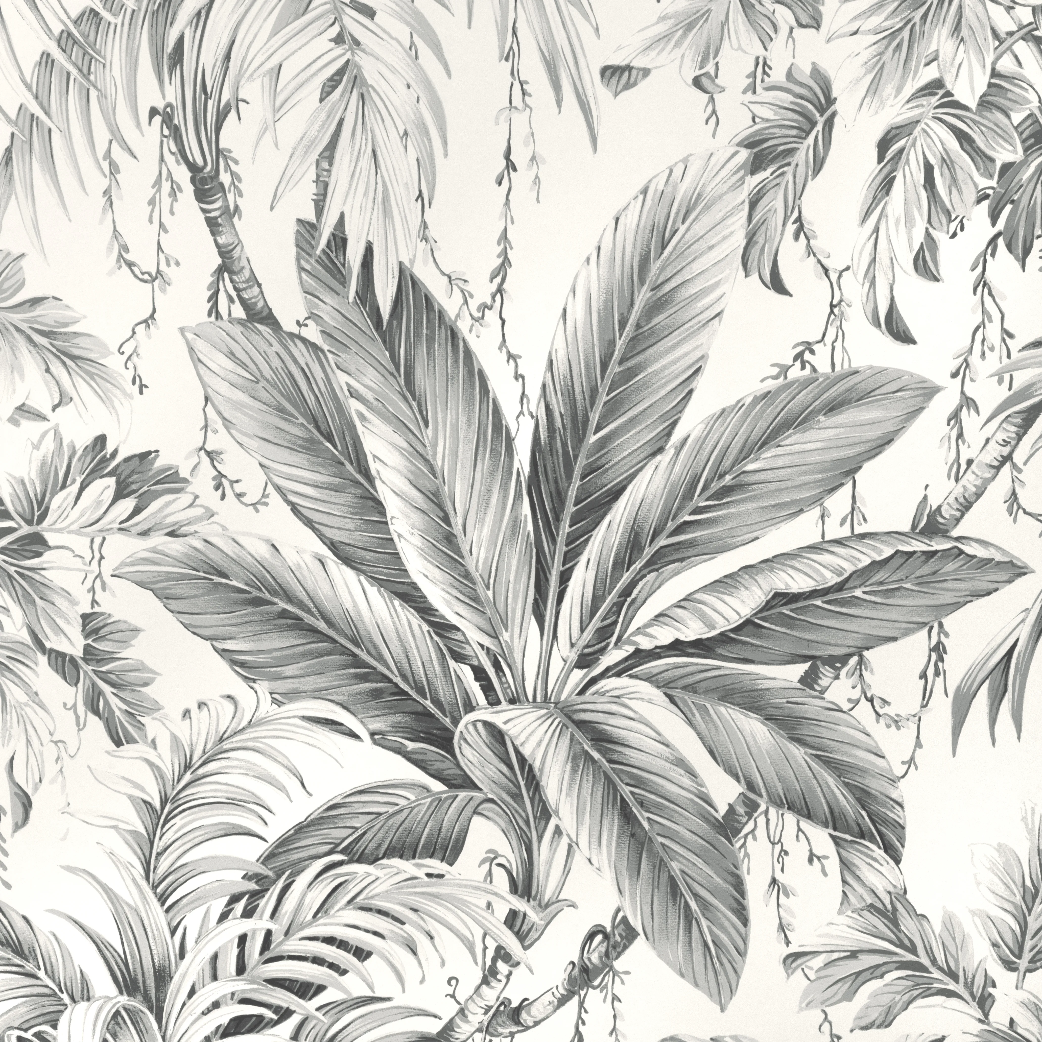 Kravet Design Studio Collection W4190 in Grey & Black (W4190.11.0)