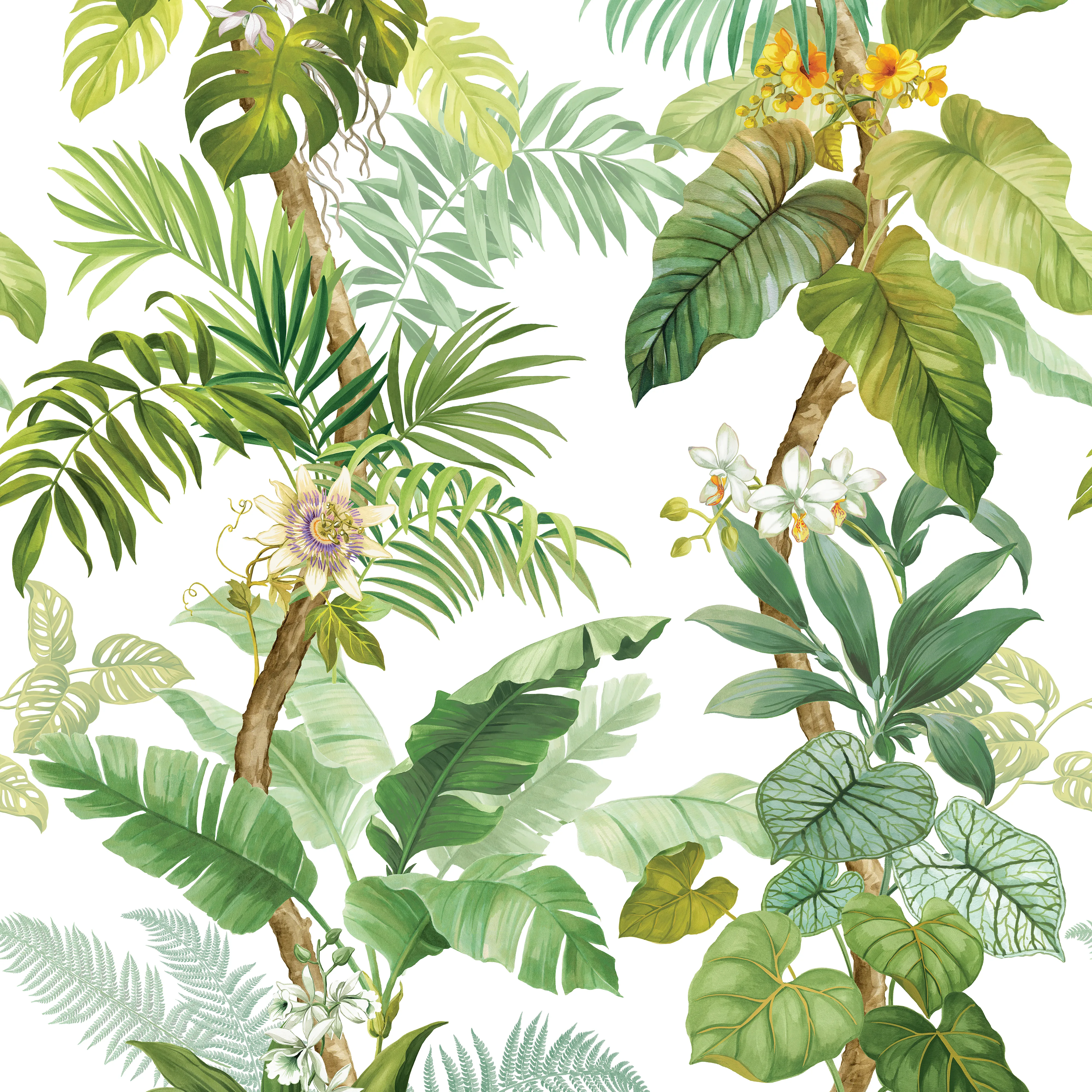 Kravet Design Panel Designs W4196 in Green (W4196.3.0)