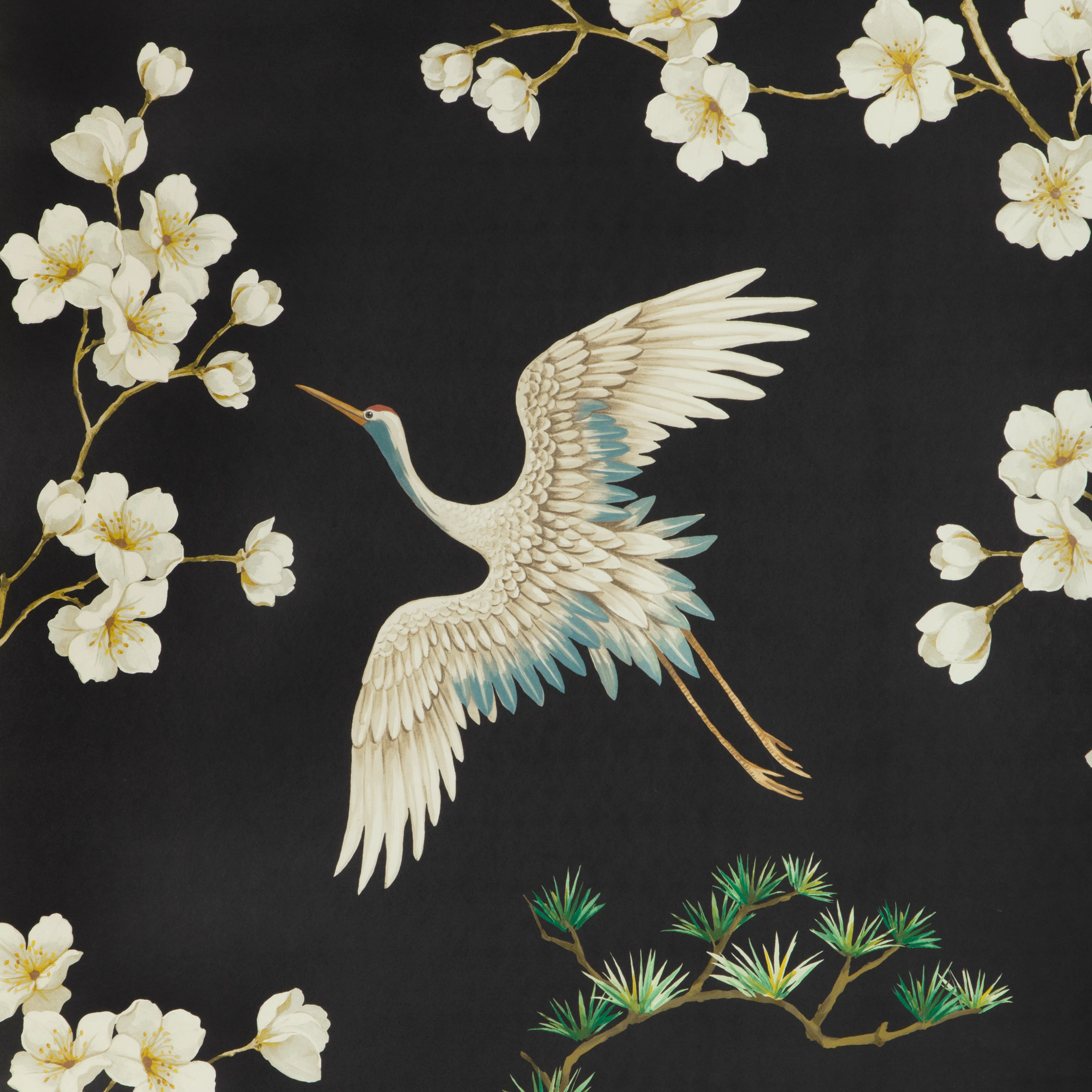 Kravet Design Studio Collection W4207 in Black & Beige (W4207.816.0)