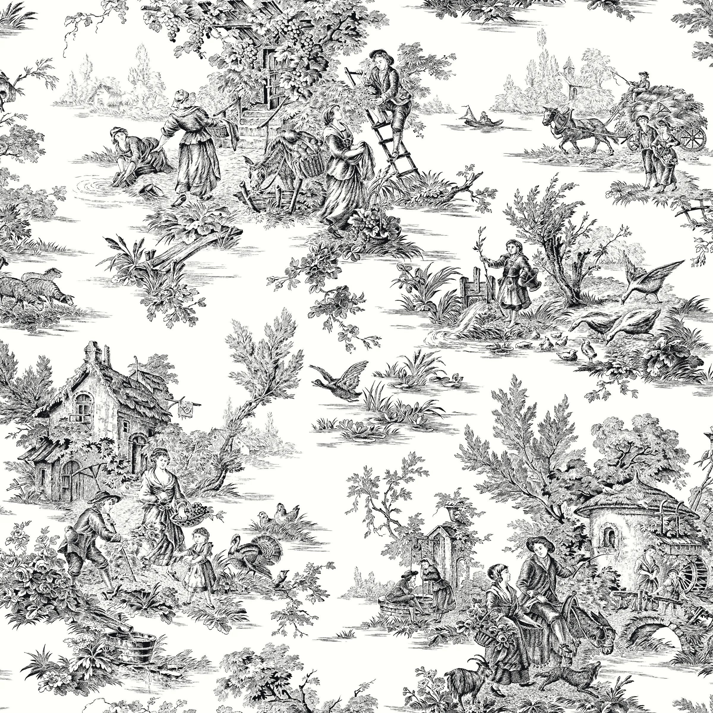 Kravet Design Toiles Resource Library W4235 in Black & White (W4235.8.0)