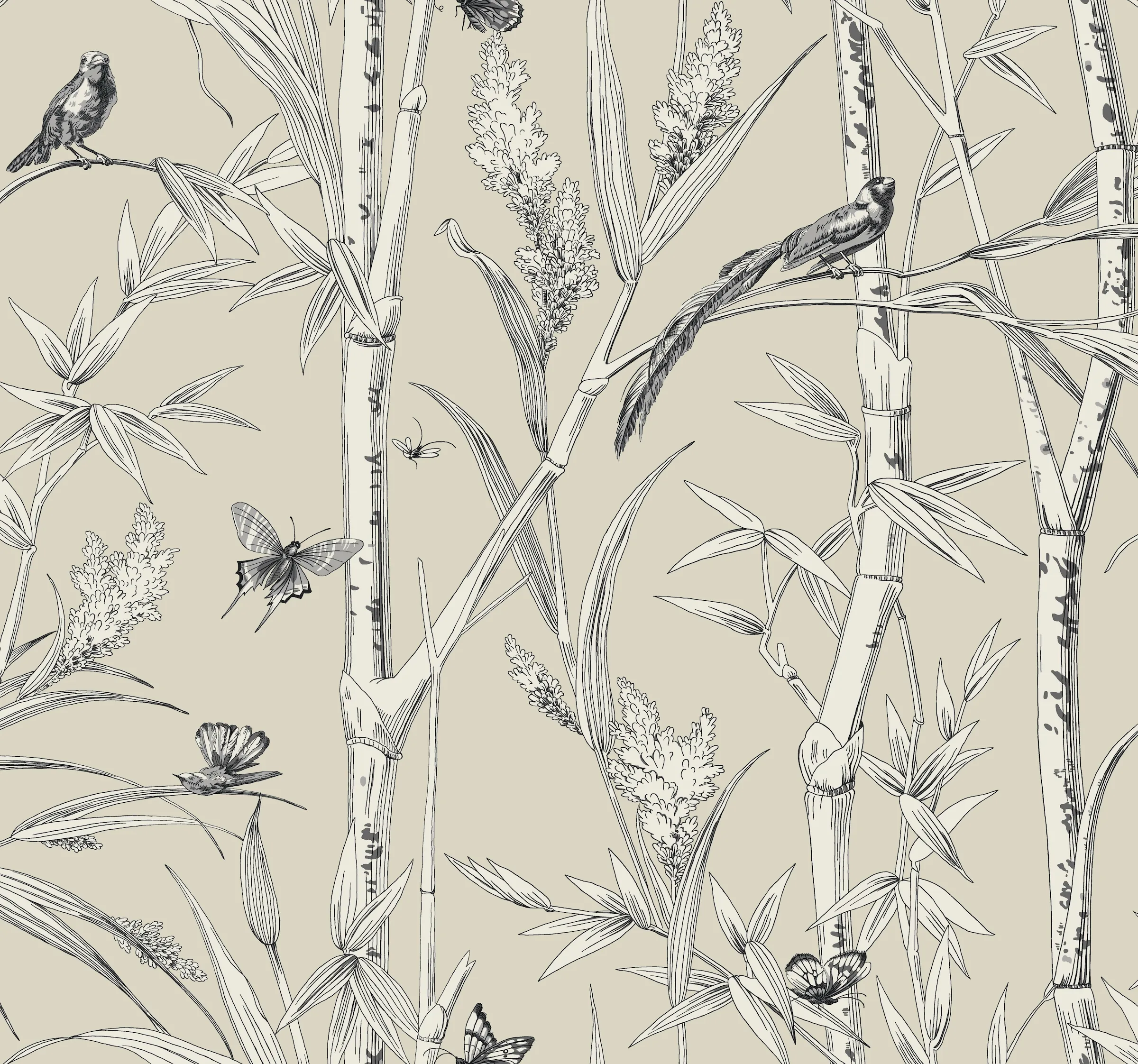 Kravet Design Toiles Resource Library W4238 in Beige & White (W4238.16.0)