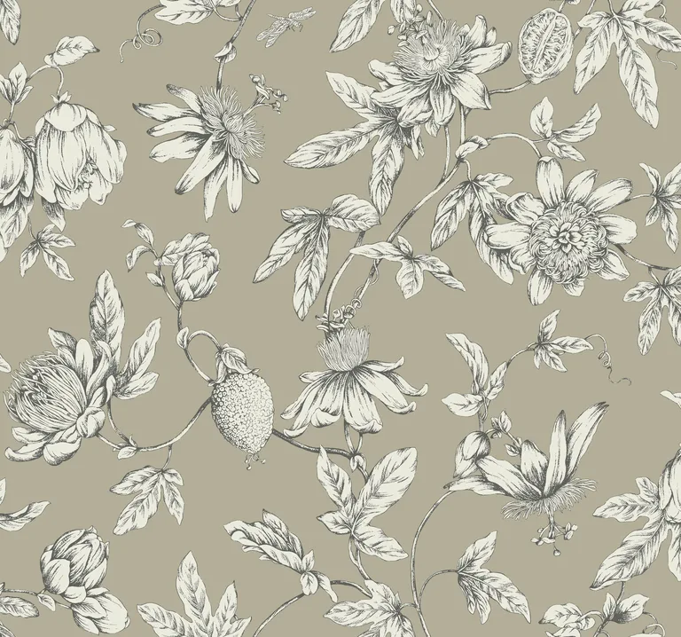 Kravet Design Toiles Resource Library W4240 in Taupe & White (W4240.106.0)