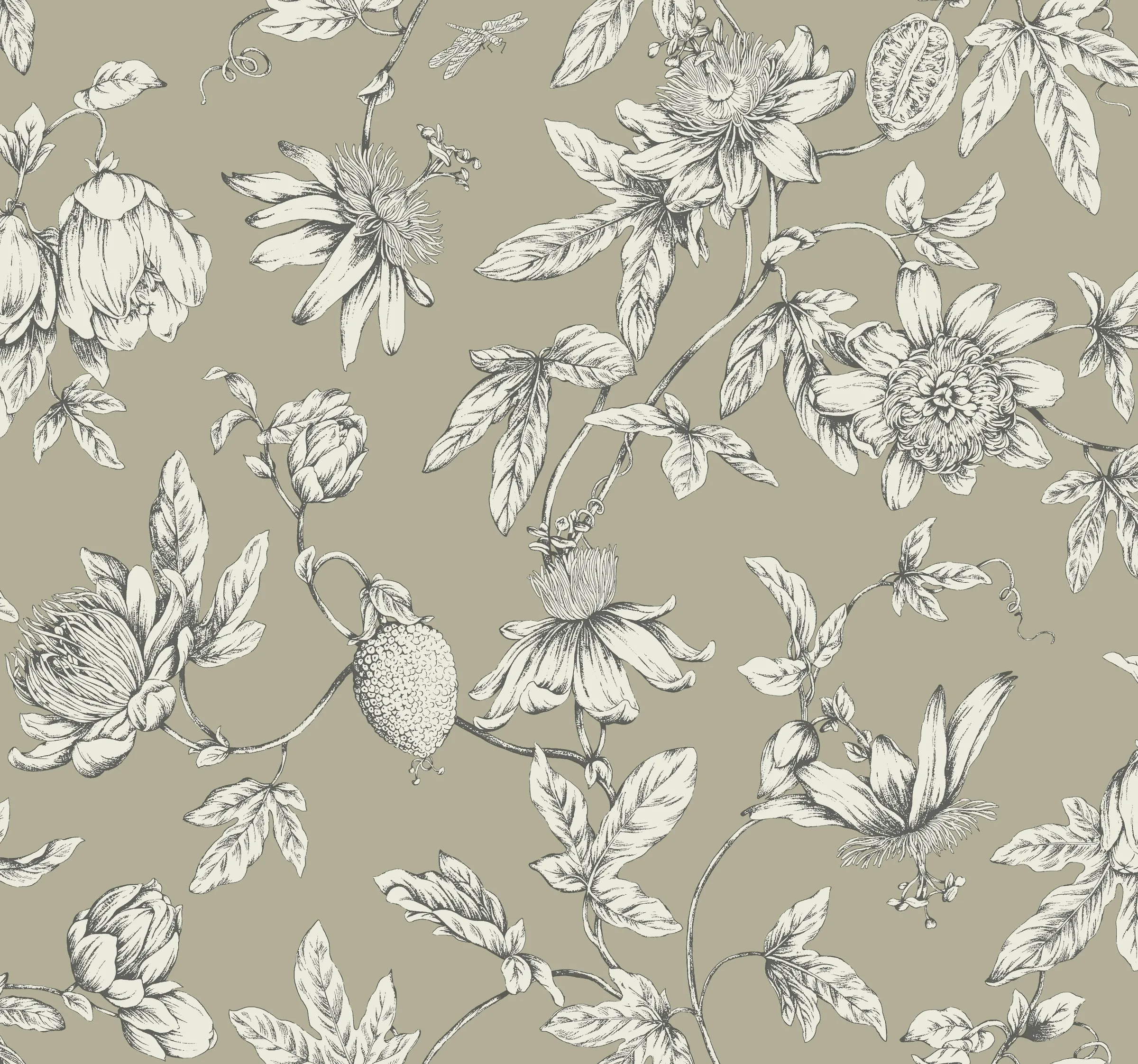 Kravet Design Toiles Resource Library W4240 in Taupe & White (W4240.106.0)