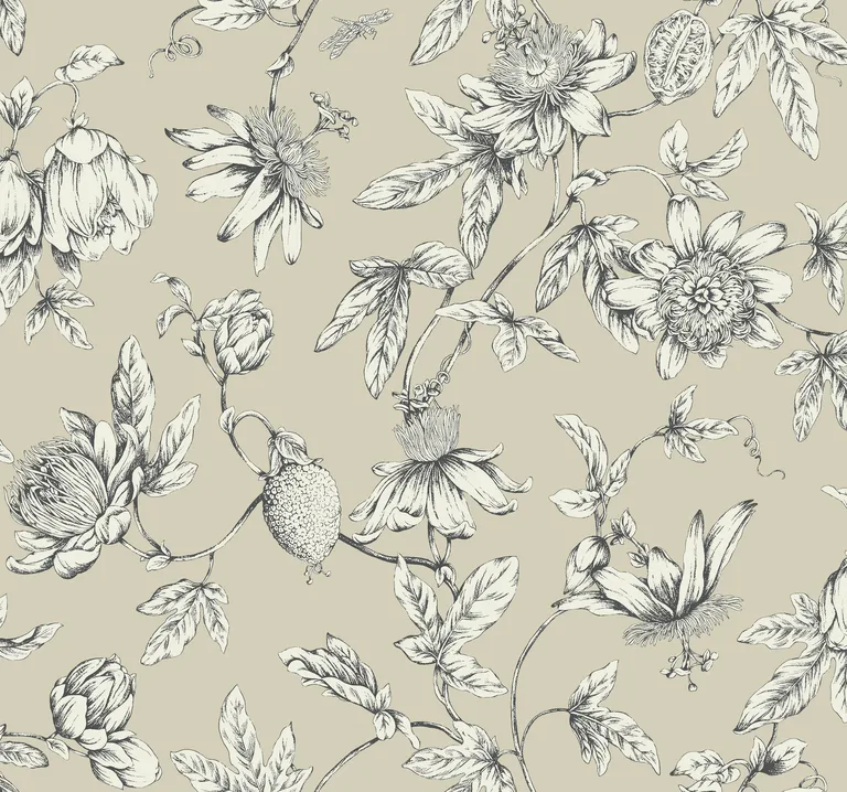 Kravet Design Toiles Resource Library W4240 in Beige & Black (W4240.16.0)