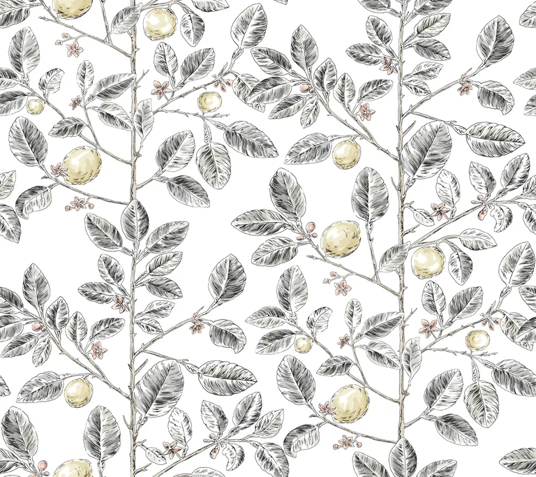 Kravet Design Toiles Resource Library W4241 in Charcoal & Yellow (W4241.21.0)