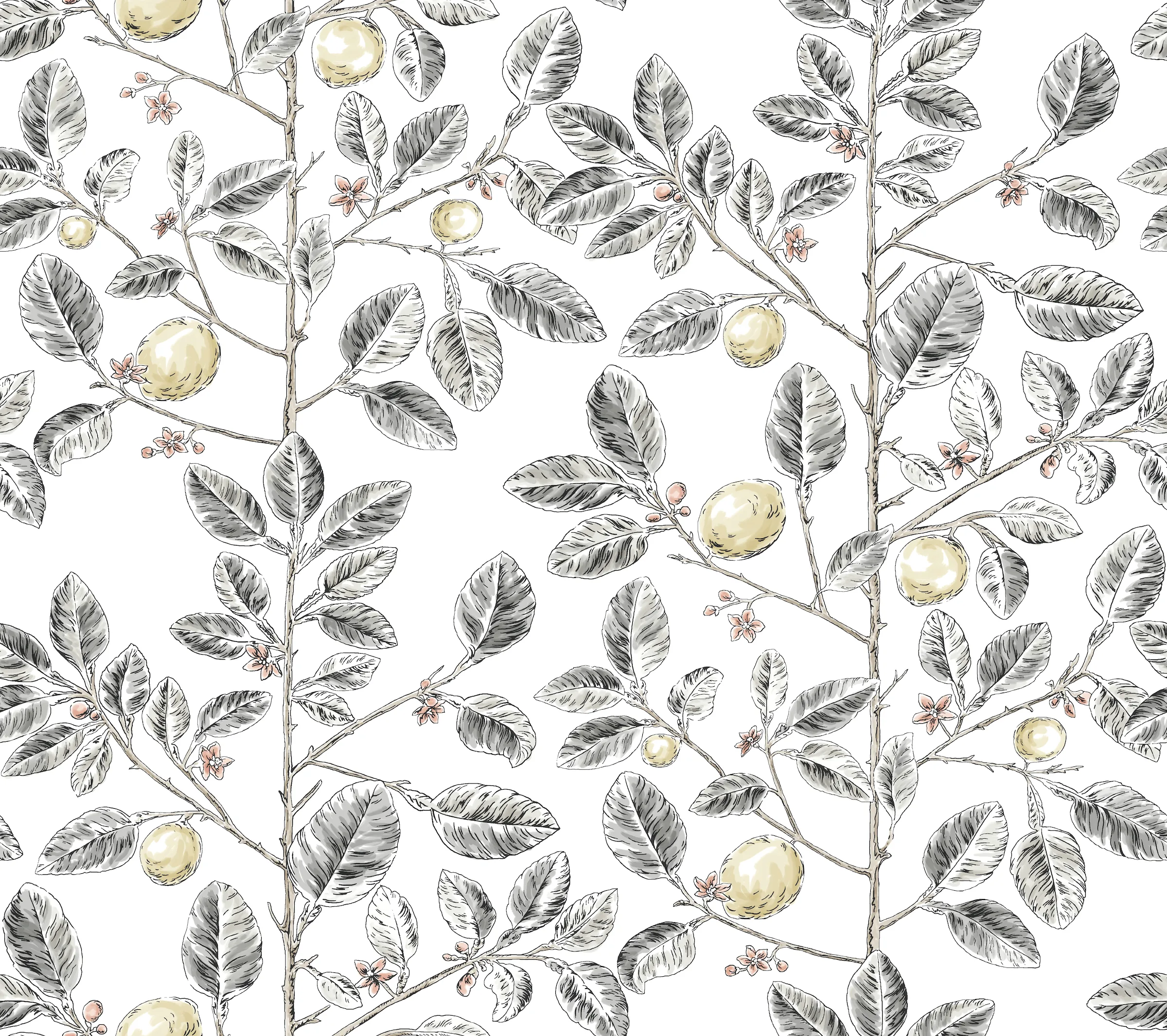 W4241.21.0 | Toiles Resource Library W4241 – Charcoal & Yellow