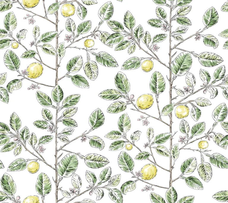 Kravet Design Toiles Resource Library W4241 in Green & Yellow (W4241.340.0)