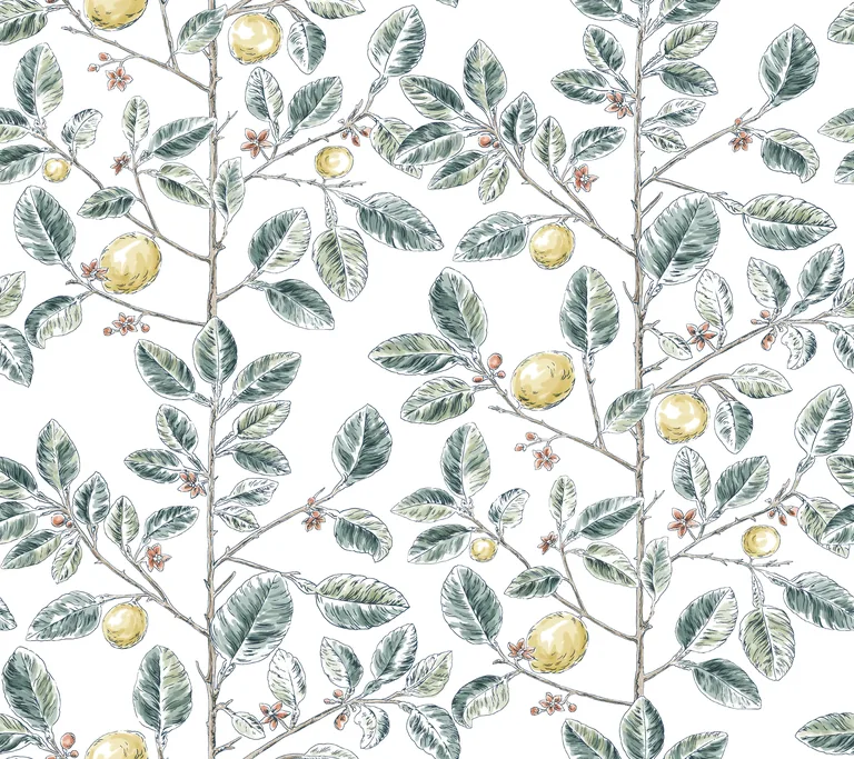 Kravet Design Toiles Resource Library W4241 in Green & Yellow (W4241.354.0)