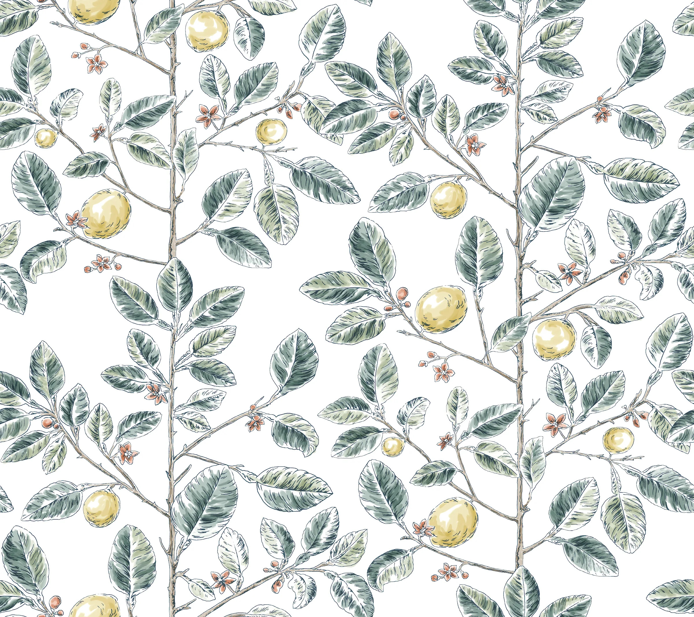 Kravet Design Toiles Resource Library W4241 in Green & Yellow (W4241.354.0)