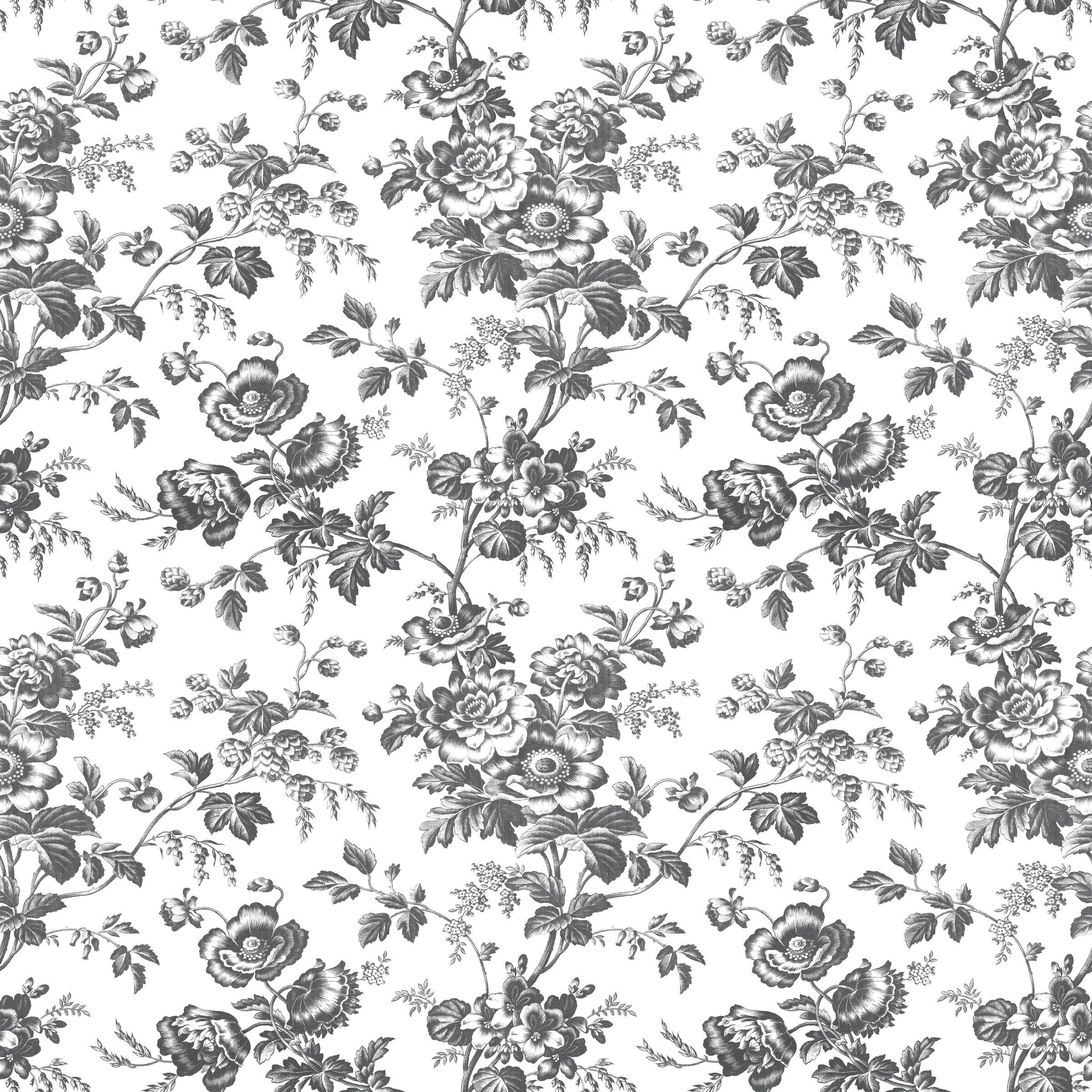Kravet Design Toiles Resource Library W4243 in Black & White (W4243.8.0)