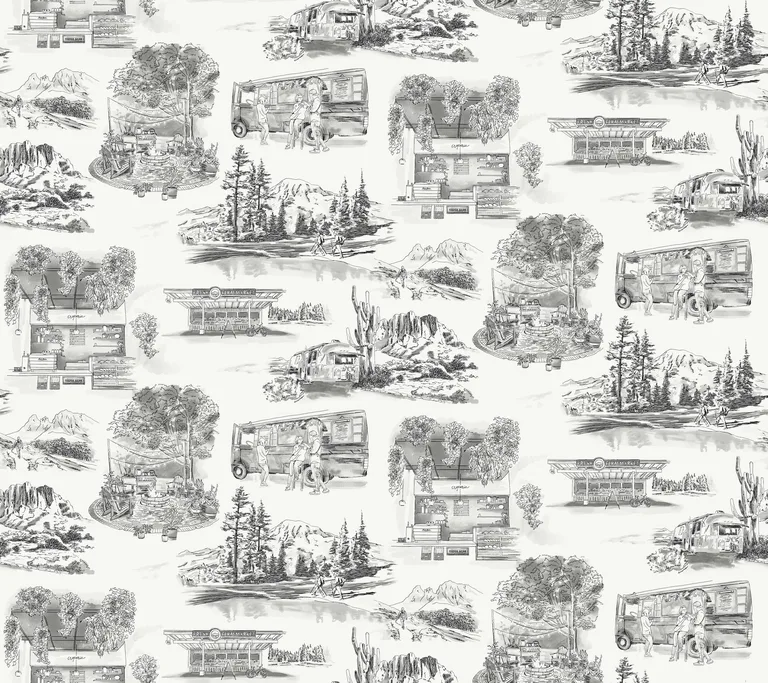 Kravet Design Toiles Resource Library W4245 in Grey & White (W4245.1121.0)