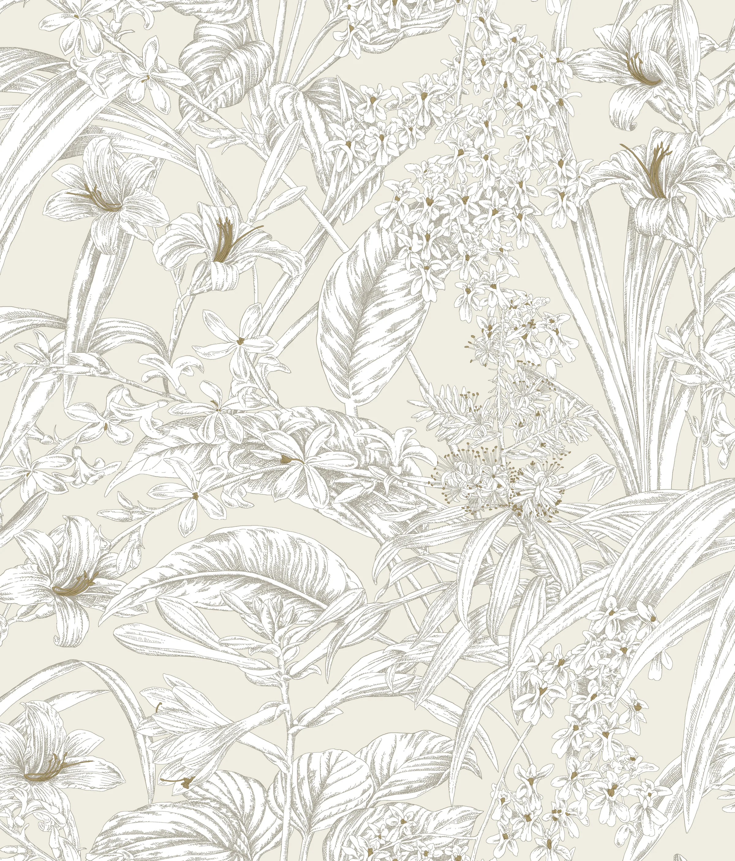 Kravet Design Toiles Resource Library W4248 in Ivory & White (W4248.1.0)