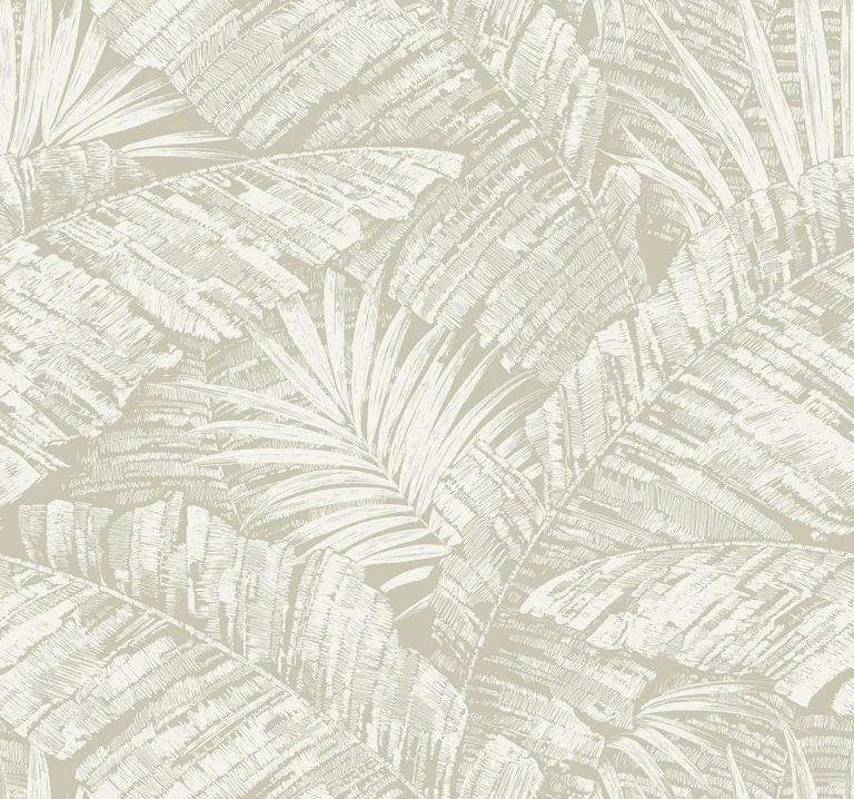 Kravet Design Toiles Resource Library W4249 in Beige & White (W4249.16.0)