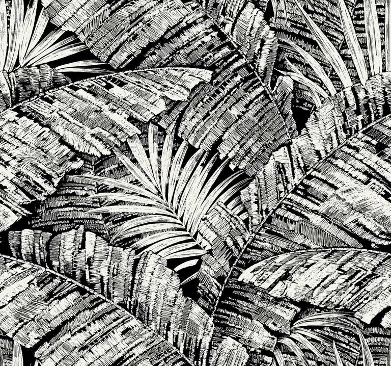 Kravet Design Toiles Resource Library W4249 in Black & White (W4249.81.0)
