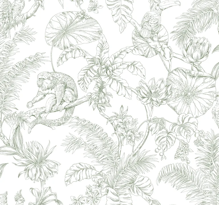 Kravet Design Toiles Resource Library W4250 in Green & White (W4250.31.0)