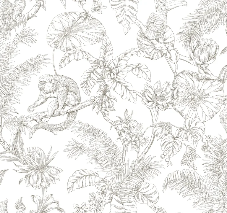 Kravet Design Toiles Resource Library W4250 in Brown & White (W4250.6.0)