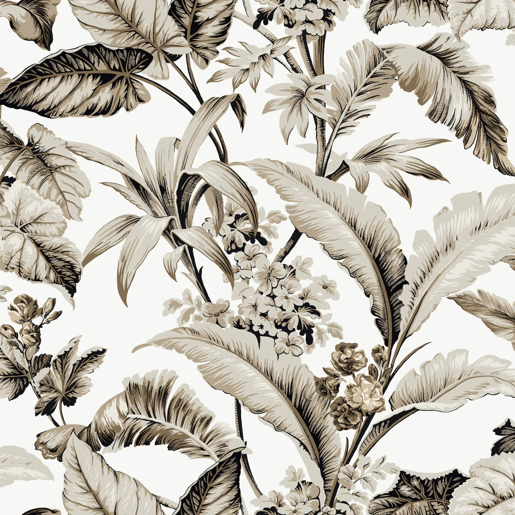 Kravet Design Ronald Redding Classics W4272 in Beige (W4272.86.0)