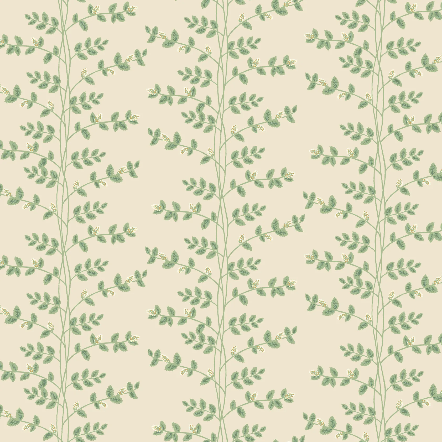 Kravet Design Rifle Paper Co Third Edition W4290 in Beige & Green (W4290.31.0)