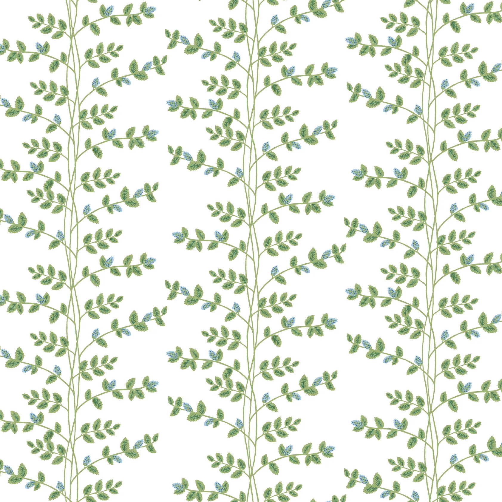 Kravet Design Rifle Paper Co Third Edition W4290 in White & Green (W4290.315.0)