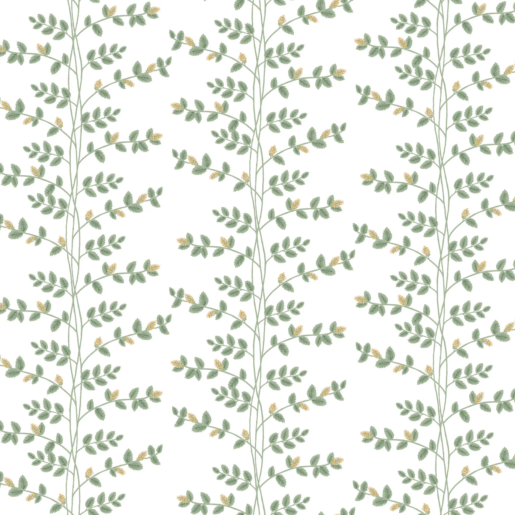 Kravet Design Rifle Paper Co Third Edition W4290 in White & Green (W4290.316.0)