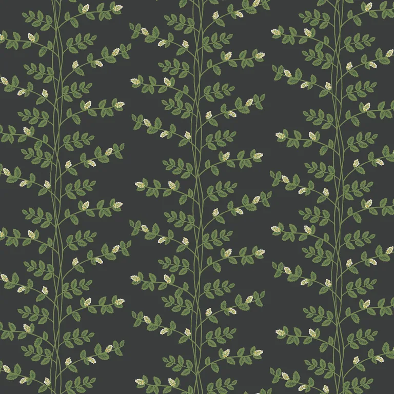 Kravet Design Rifle Paper Co Third Edition W4290 in Black & Green (W4290.83.0)