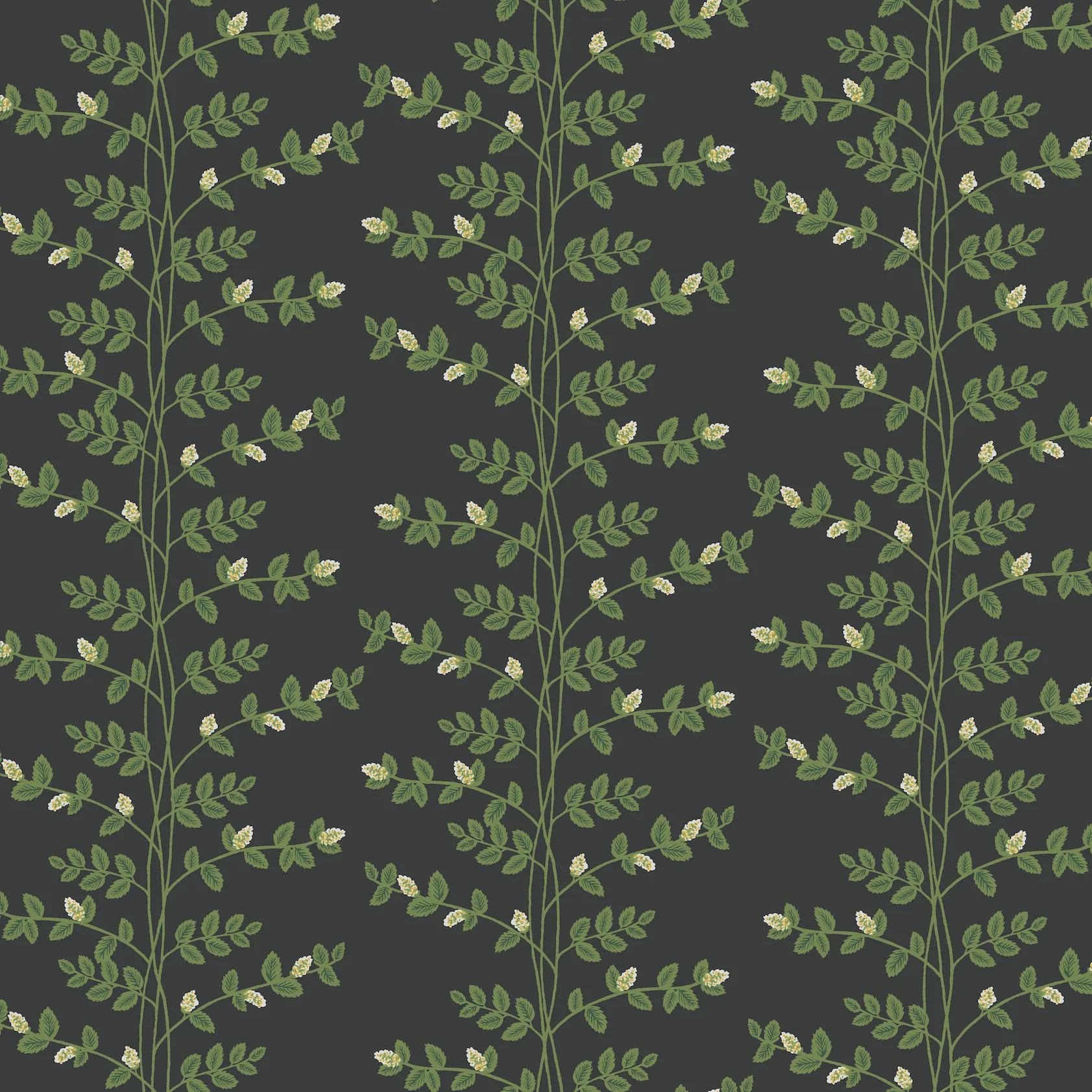 Kravet Design Rifle Paper Co Third Edition W4290 in Black & Green (W4290.83.0)