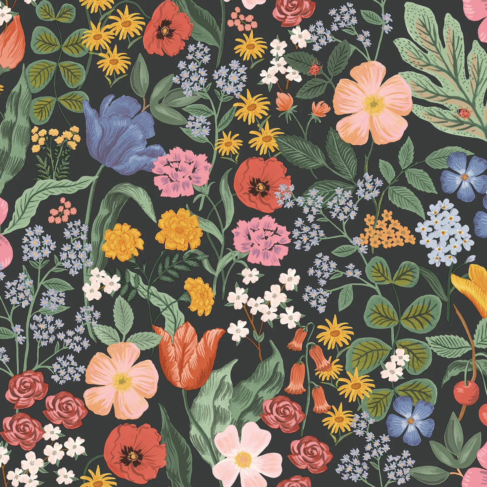 Kravet Design Rifle Paper Co Third Edition W4296 in Black & Pink (W4296.817.0)