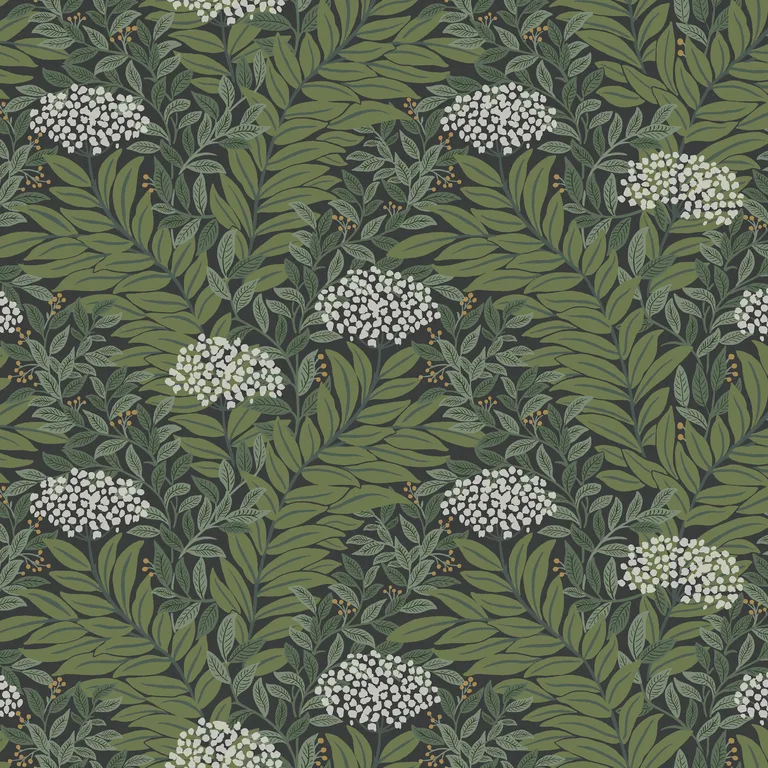 Kravet Design Rifle Paper Co Third Edition W4297 in Green & Black (W4297.830.0)