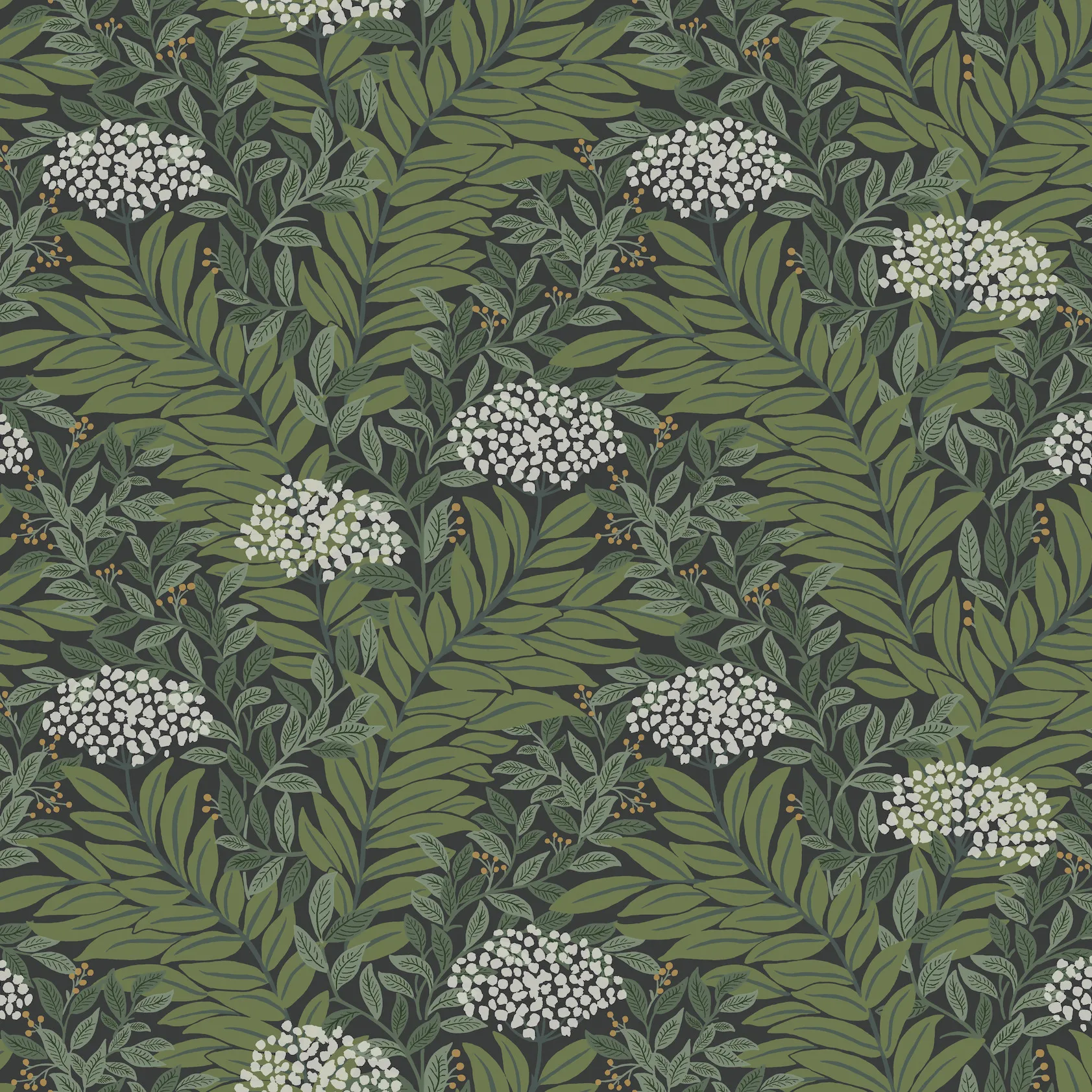 Kravet Design Rifle Paper Co Third Edition W4297 in Green & Black (W4297.830.0)