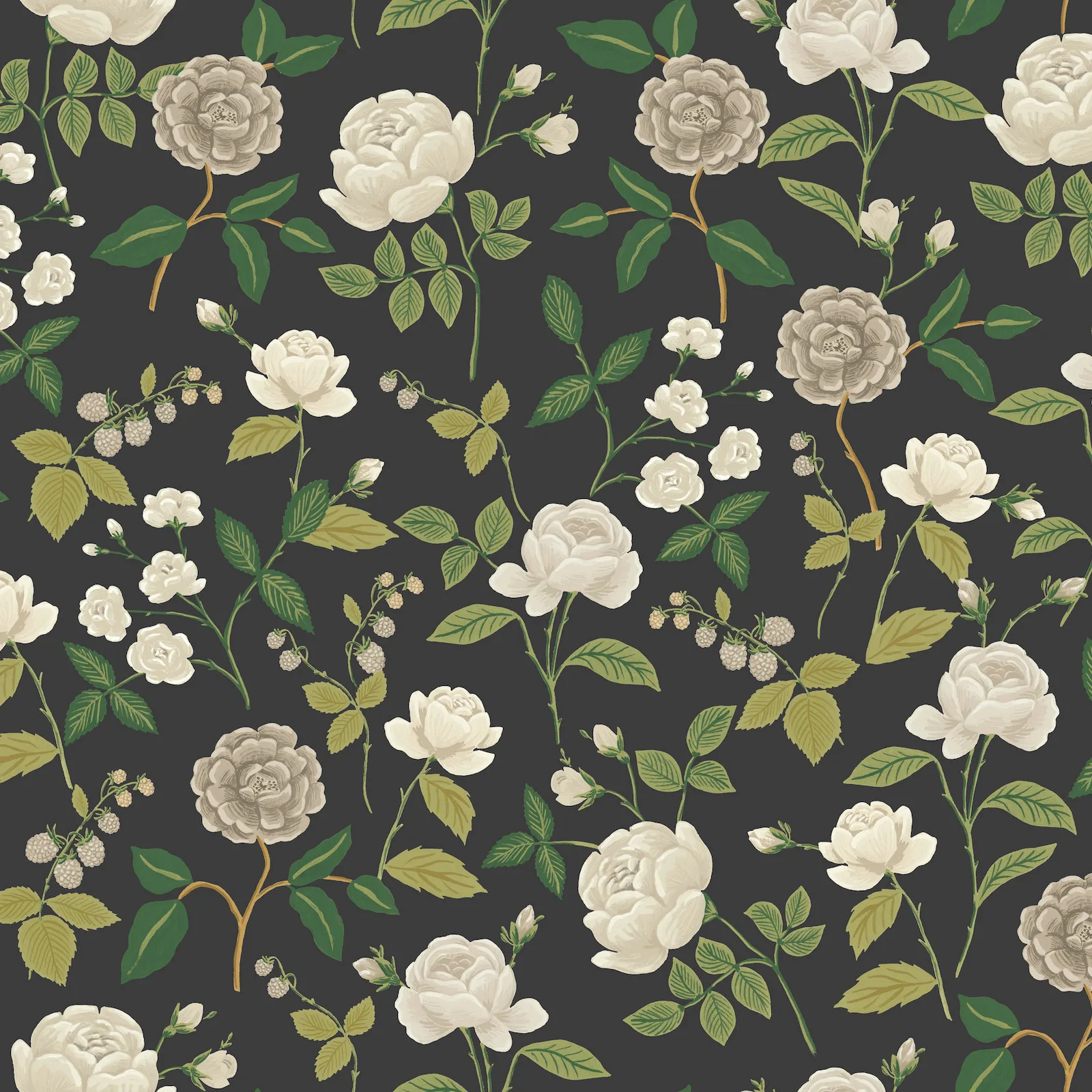 W4299.811.0 | Rifle Paper Co Third Edition W4299 – Grey & Black