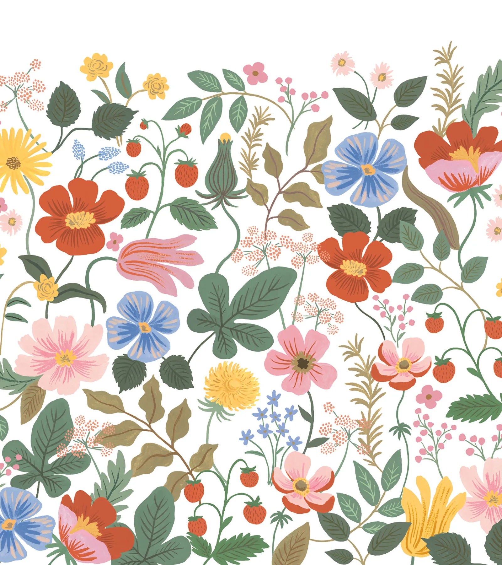 Kravet Design Rifle Paper Co Third Edition W4303 in White & Pink (W4303.517.0)
