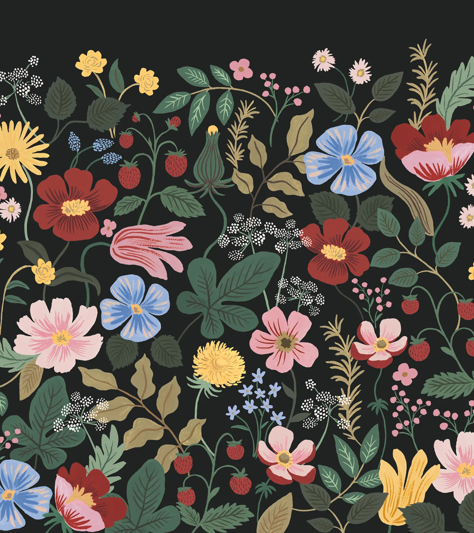 Kravet Design Rifle Paper Co Third Edition W4303 in Black & Pink (W4303.817.0)