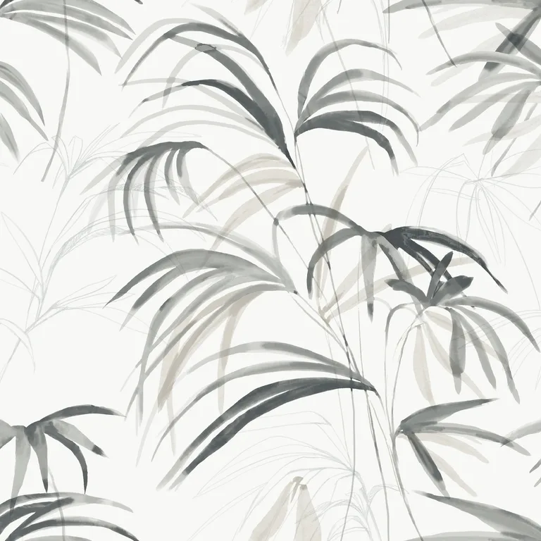 Kravet Design Candice Olson Natural Discovery W4305 in White & Grey (W4305.21.0)