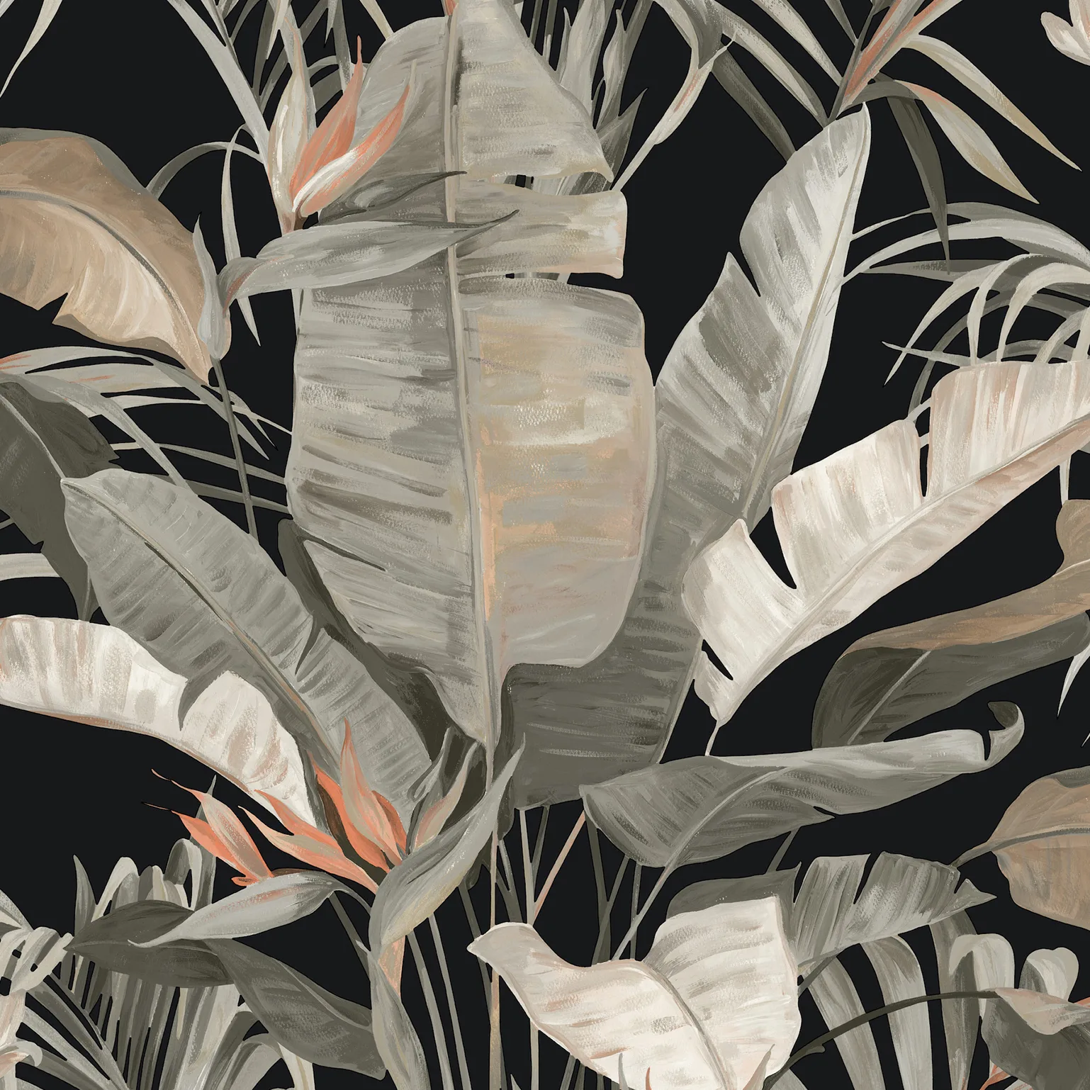 Kravet Design Candice Olson Natural Discovery W4307 in Black & Coral (W4307.811.0)