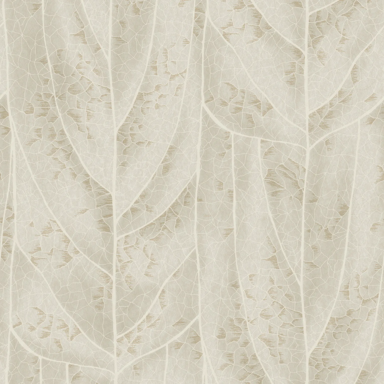 Kravet Design Candice Olson Natural Discovery W4308 in Beige & White (W4308.16.0)
