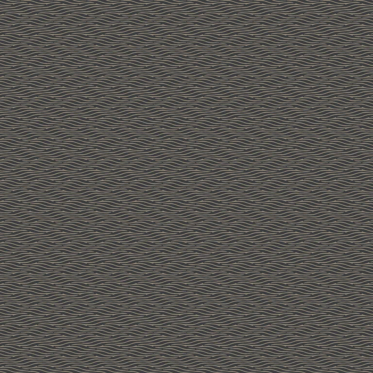 Kravet Design Candice Olson Natural Discovery W4309 in Black & Beige (W4309.816.0)