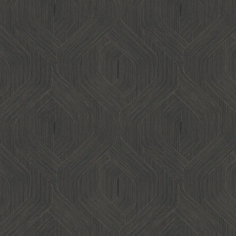 Kravet Design Candice Olson Natural Discovery W4314 in Black & Brown (W4314.816.0)