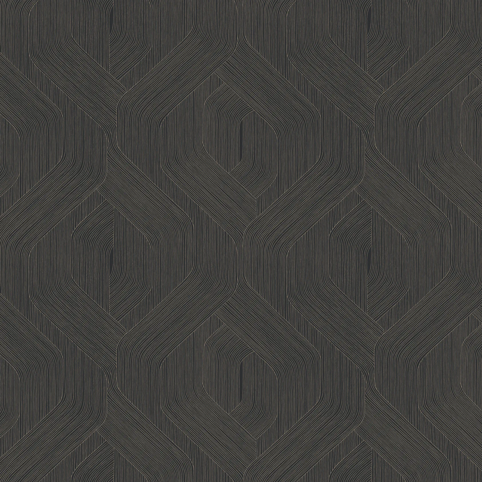 Kravet Design Candice Olson Natural Discovery W4314 in Black & Brown (W4314.816.0)
