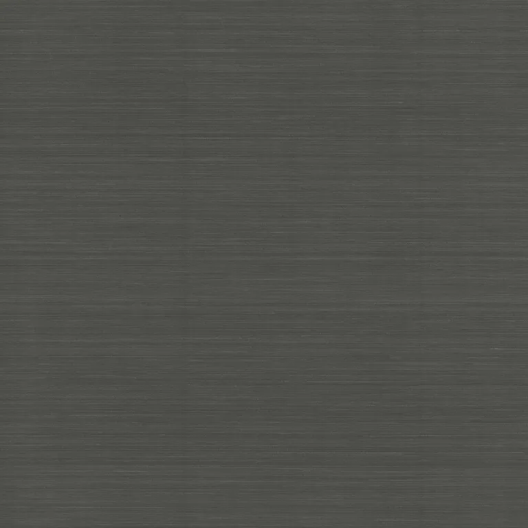Kravet Design Candice Olson Natural Discovery W4315 in Black (W4315.8.0)