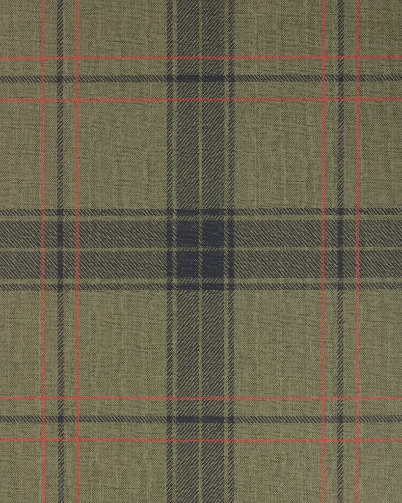 Kravet Design Studio Collection Ii W4326 in Green & Red (W4326.319.0)