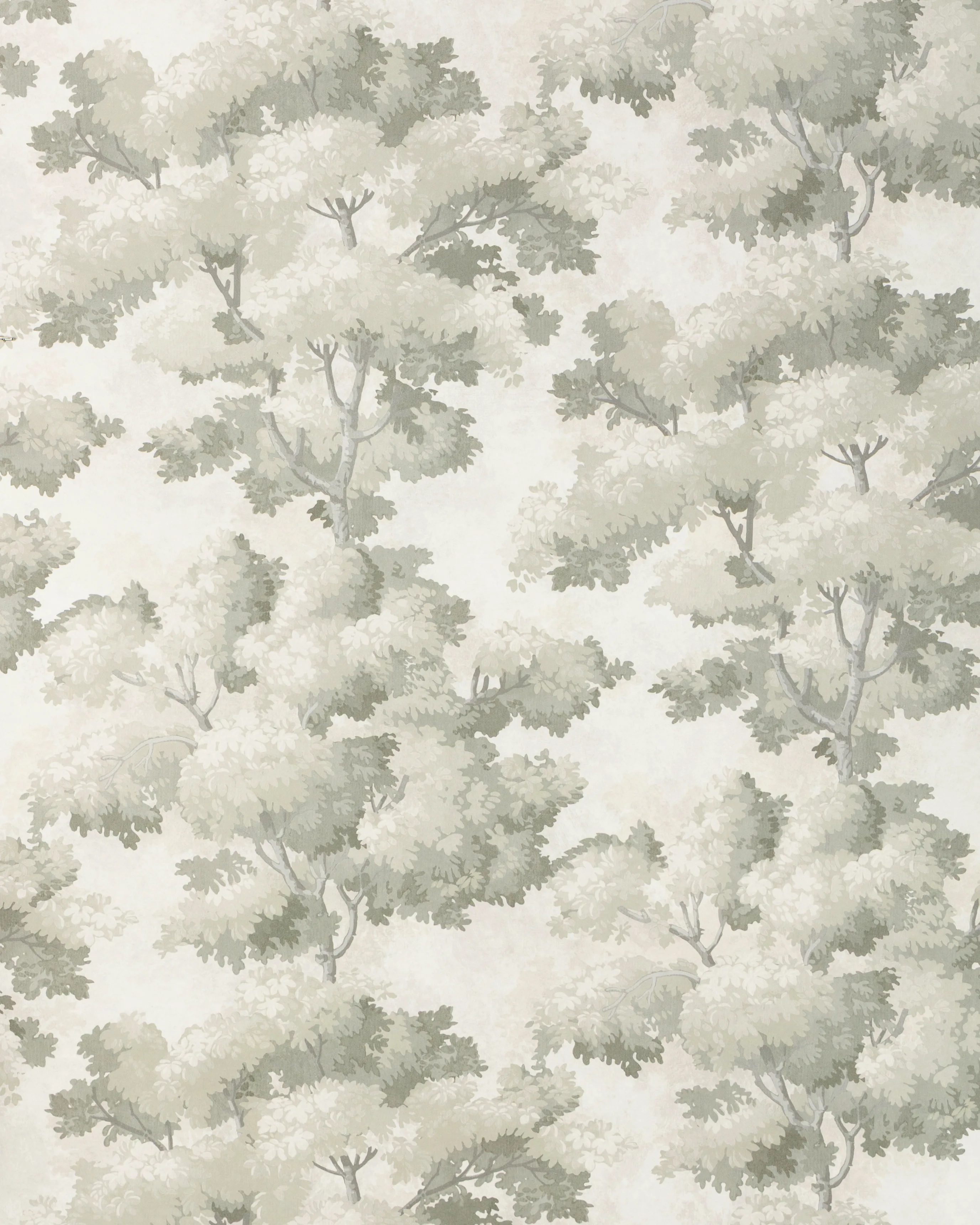 Kravet Design Studio Collection Ii W4330 in Grey & Light Grey (W4330.11.0)