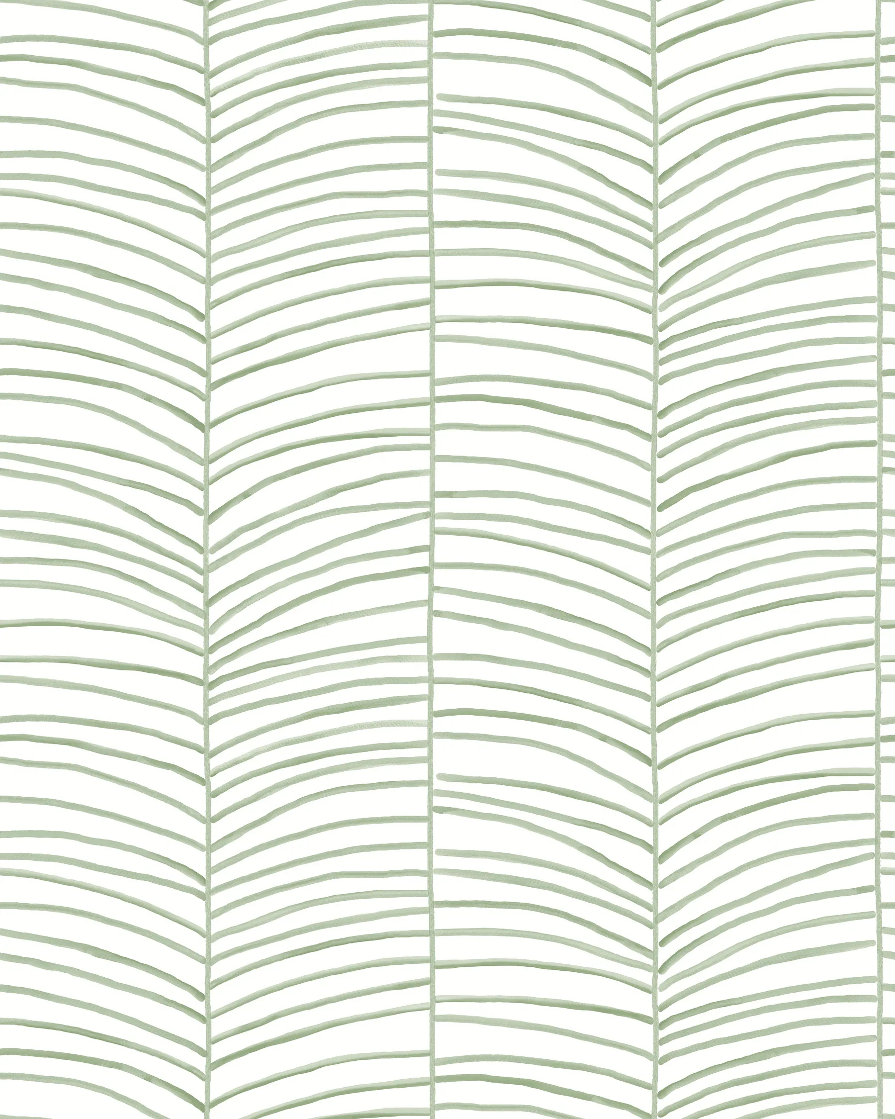 Kravet Design Montecito W4338 in Green & White (W4338.3.0)