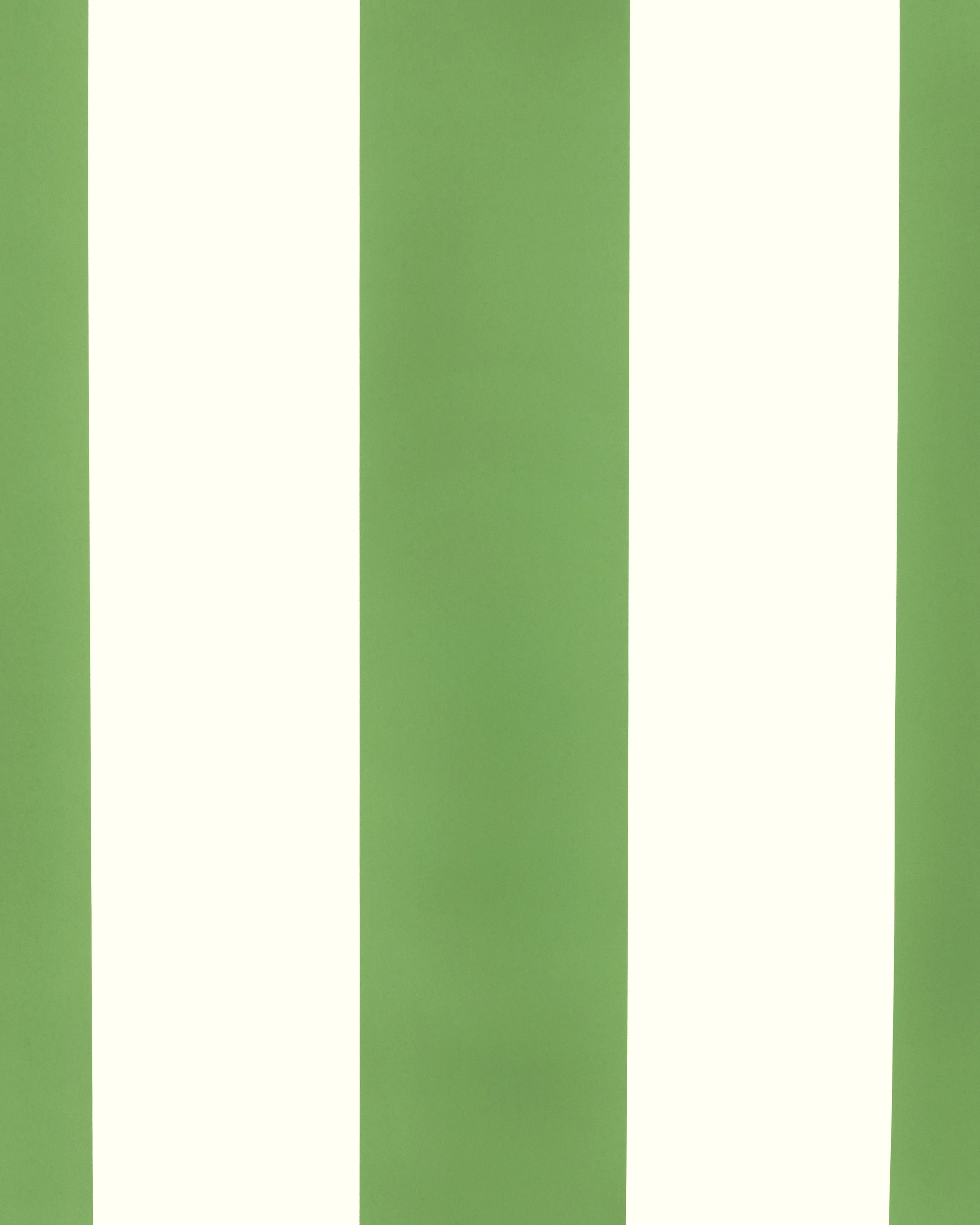 Kravet Design Stripe Wallcovering W4379 in Green & White (W4379.31.0)