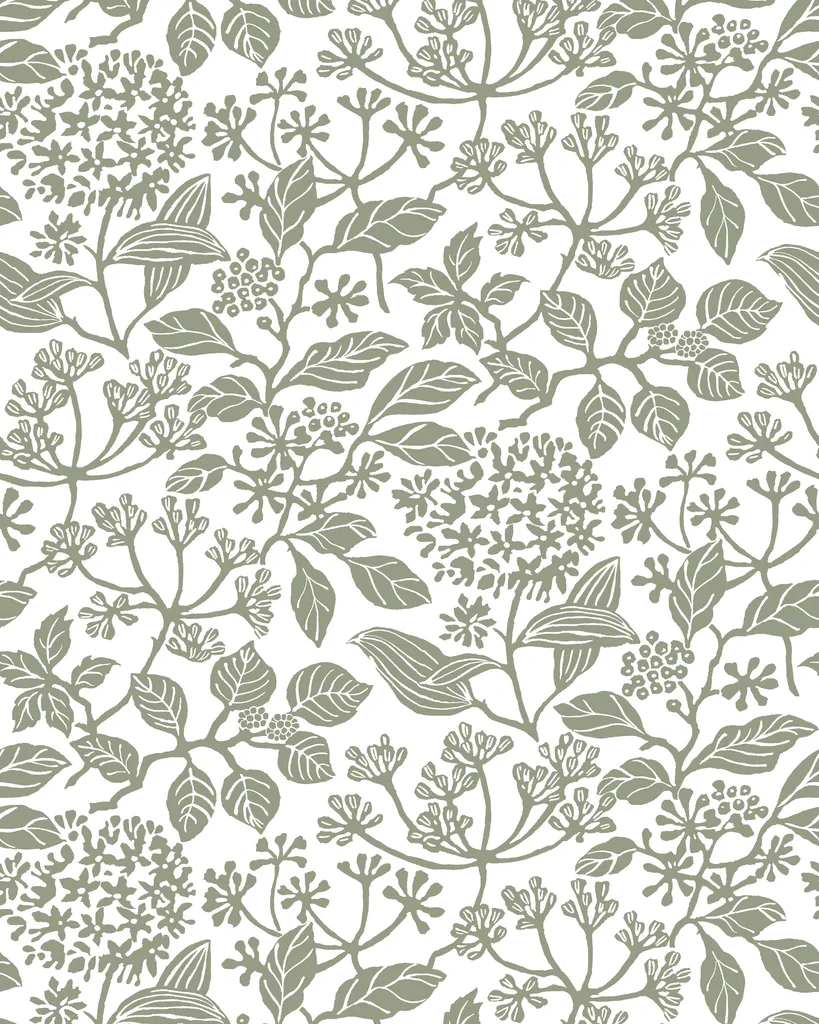 Kravet Design Antonina Vella Jardin W4485 in White & Slate (W4485.21.0)