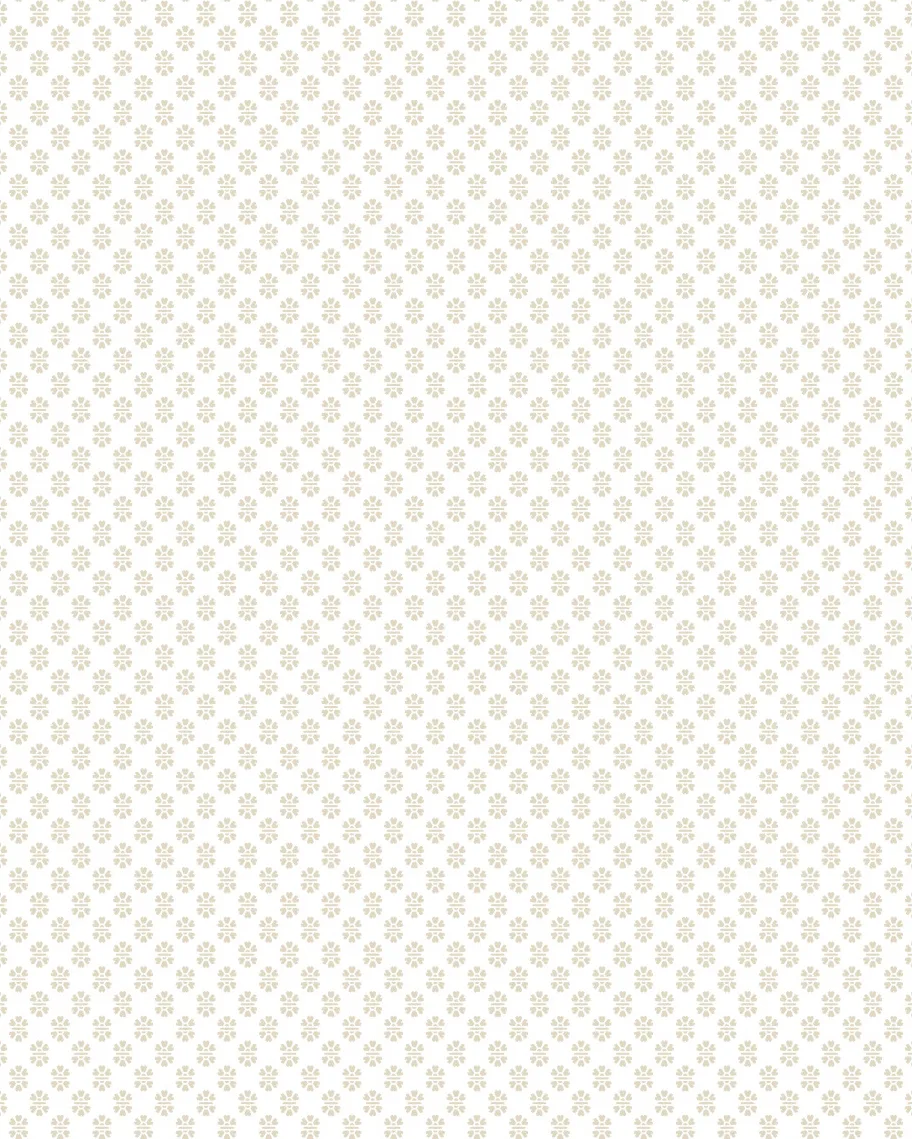 Kravet Design Antonina Vella Jardin W4490 in White & Taupe (W4490.16.0)