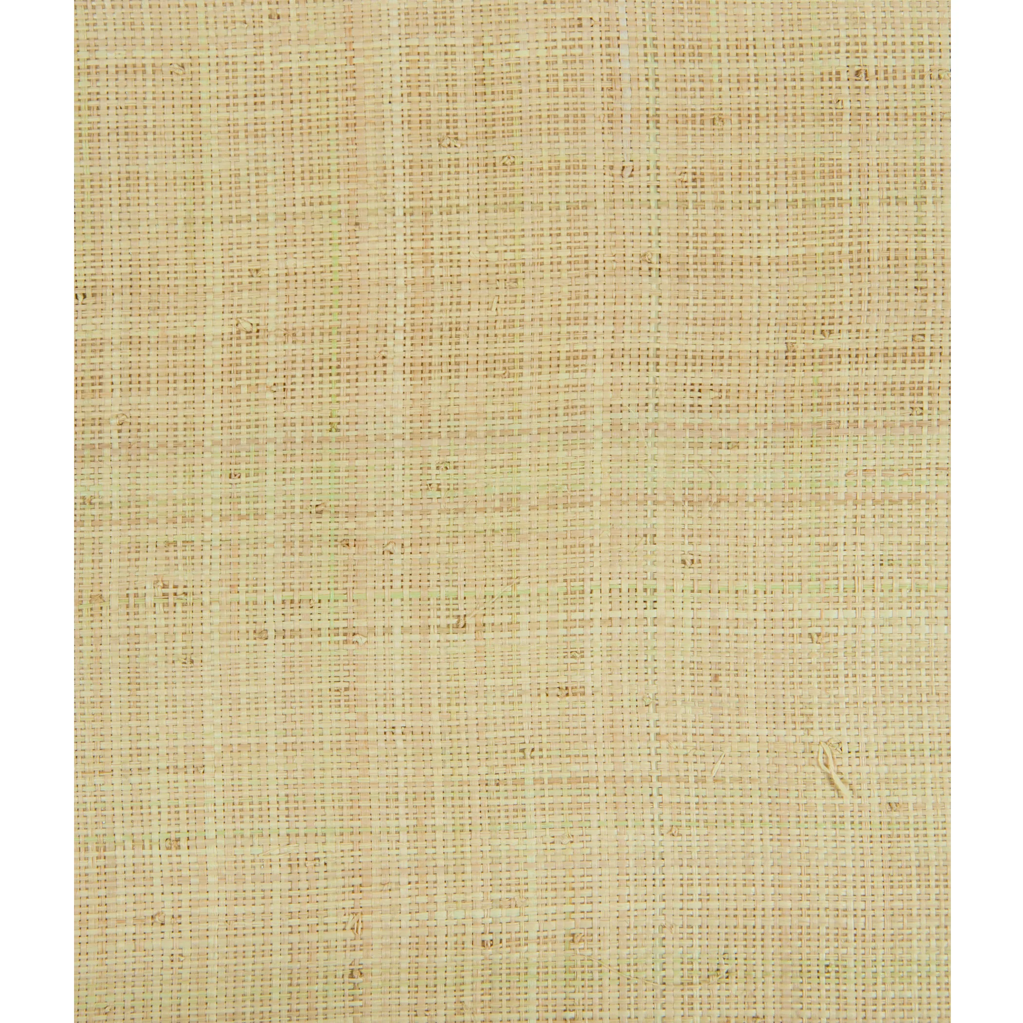 Lee Jofa Modern Fine Raffia in Natural (GWP-3415.16.0)