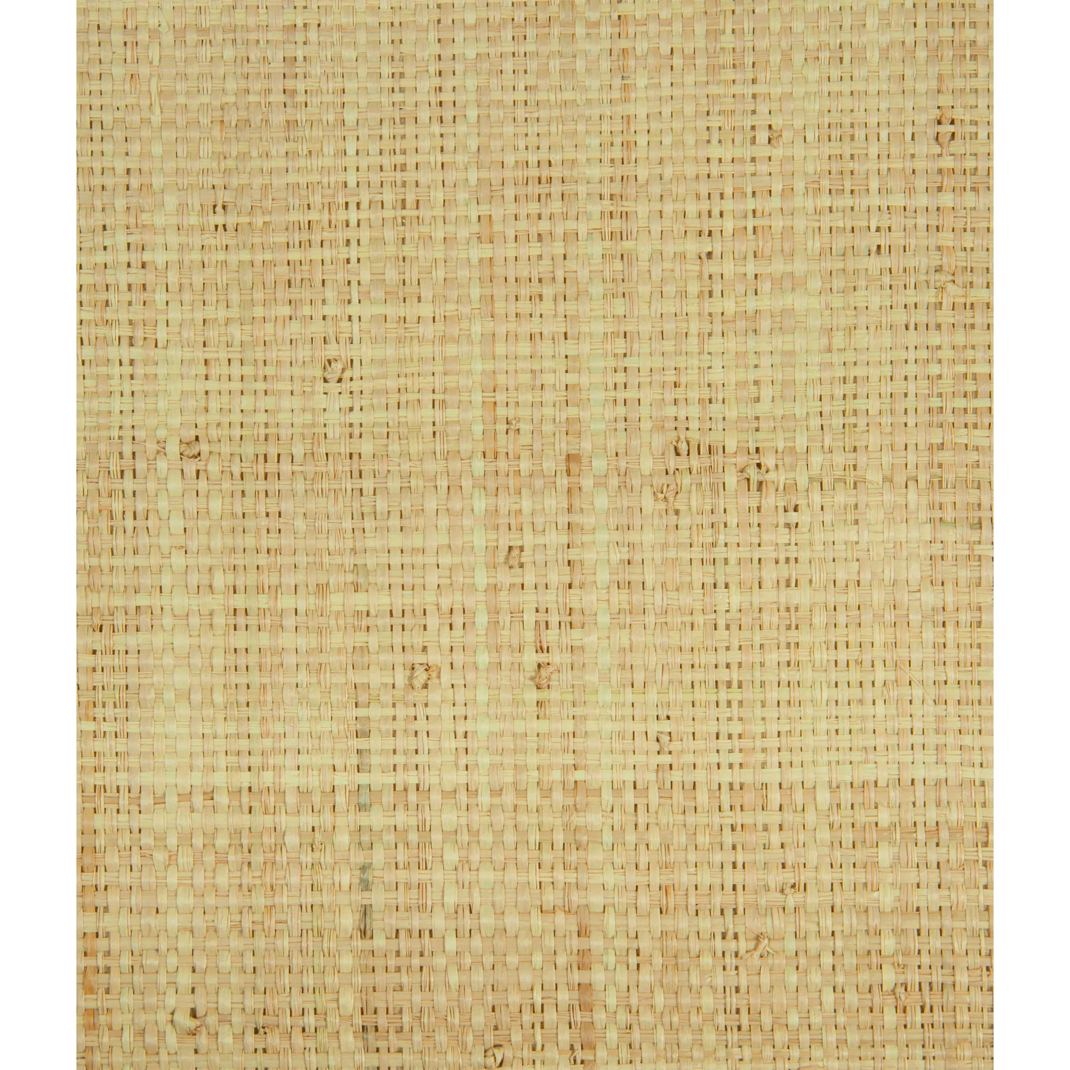 Lee Jofa Modern Heavy Raffia in Natural (GWP-3414.16.0)