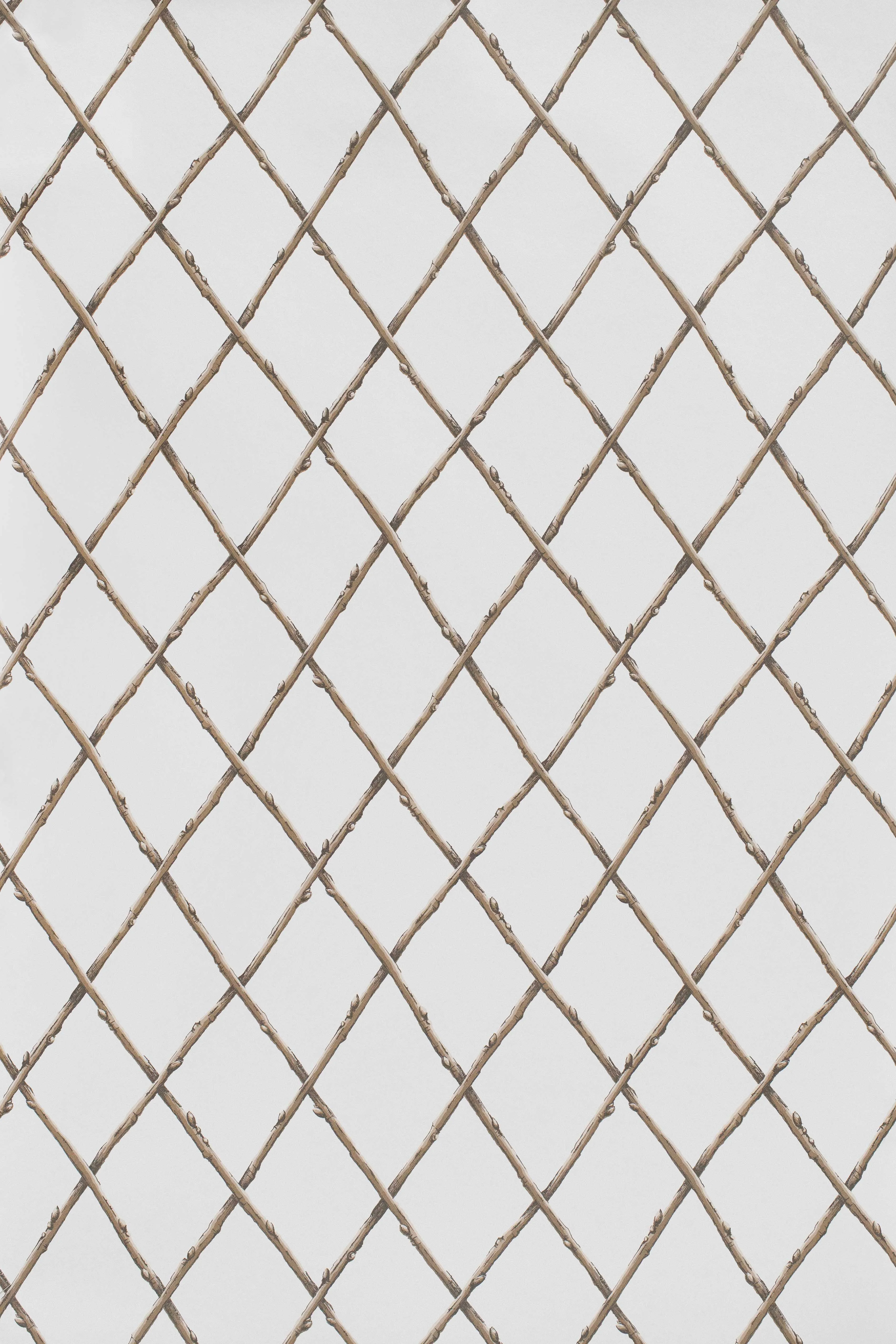 Lee Jofa Bare Twig Trellis in Brown (P2025106.1116.0)