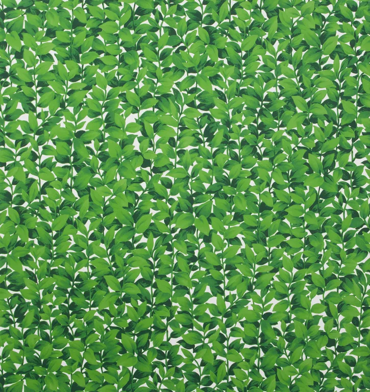 Lee Jofa Hedges Paper in Off White (P2013103.130.0)