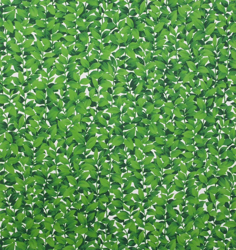 Lee Jofa Hedges Paper in Off White (P2013103.130.0)